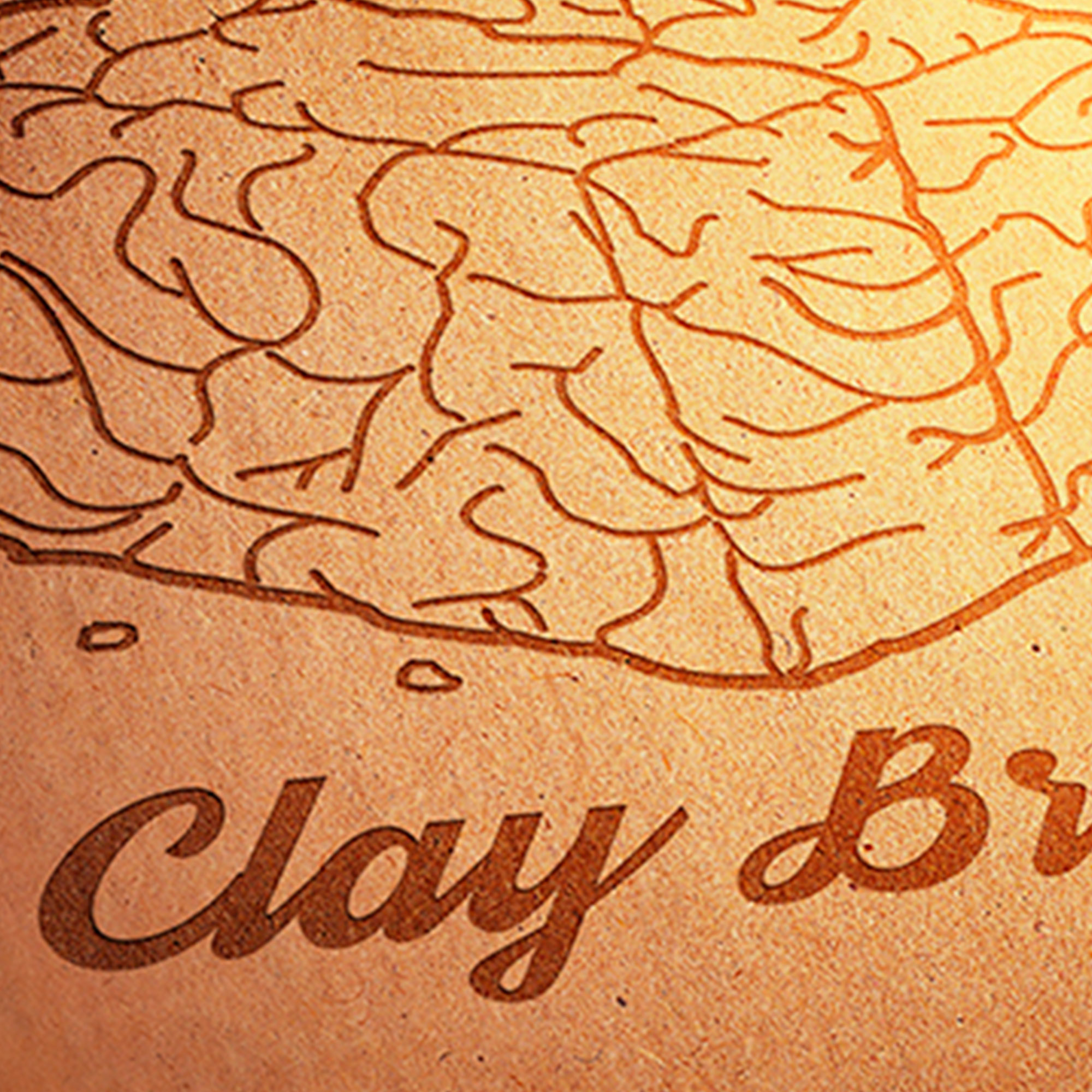 Desenvolvimento de Logotipo - Clay Brain
